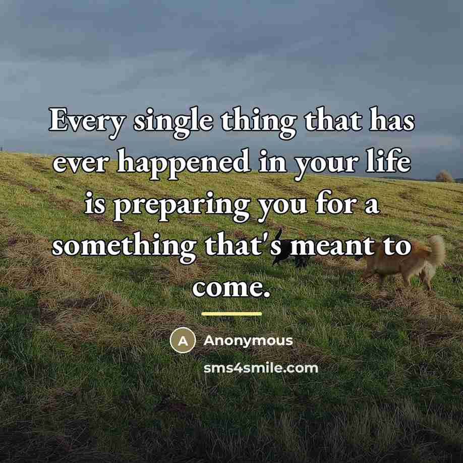 “Every single thing that has ever happened in your life…” quote by Anonymous