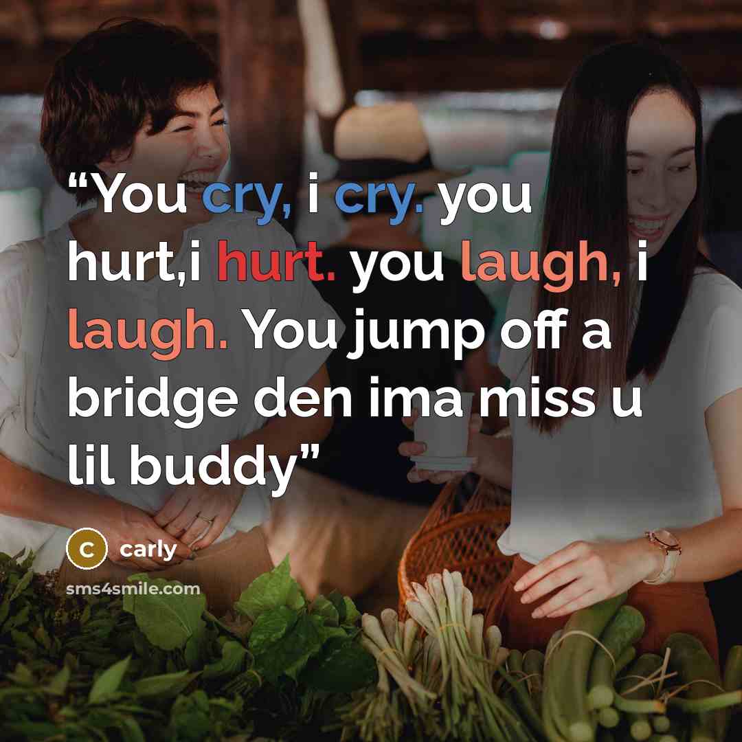 “You cry, i cry. you hurt,i hurt. you laugh, i laugh. You jump off a bridge den ima miss u lil buddy” quote by carly