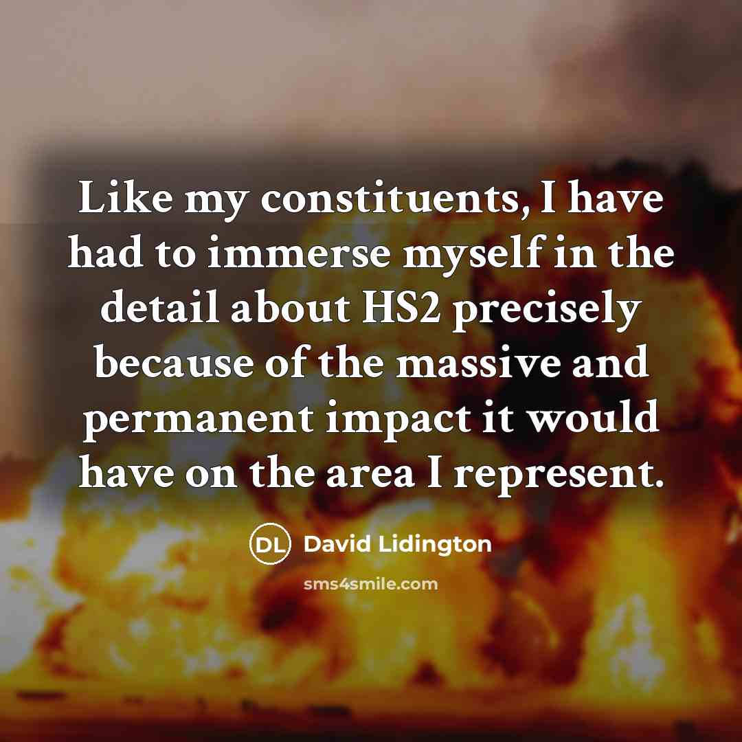 “Like my constituents, I have had to immerse myself in…” quote by David Lidington