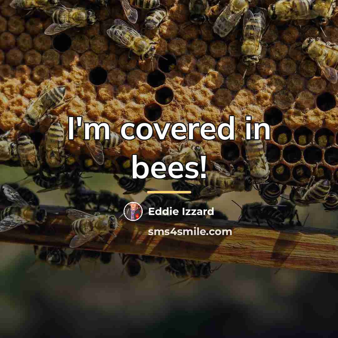 “I'm covered in bees!…” quote by Eddie Izzard