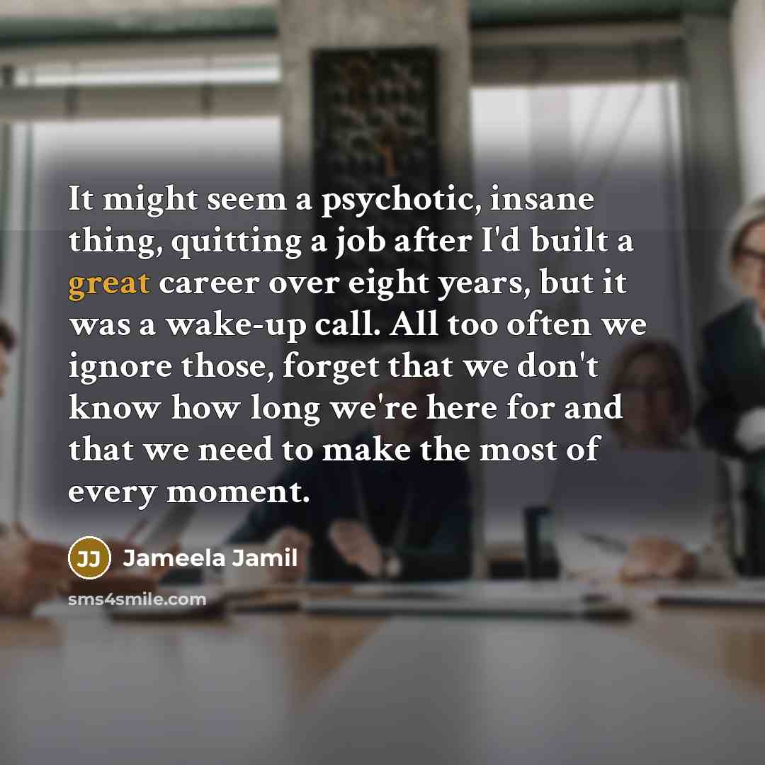 “It might seem a psychotic, insane thing, quitting a job…” quote by Jameela Jamil