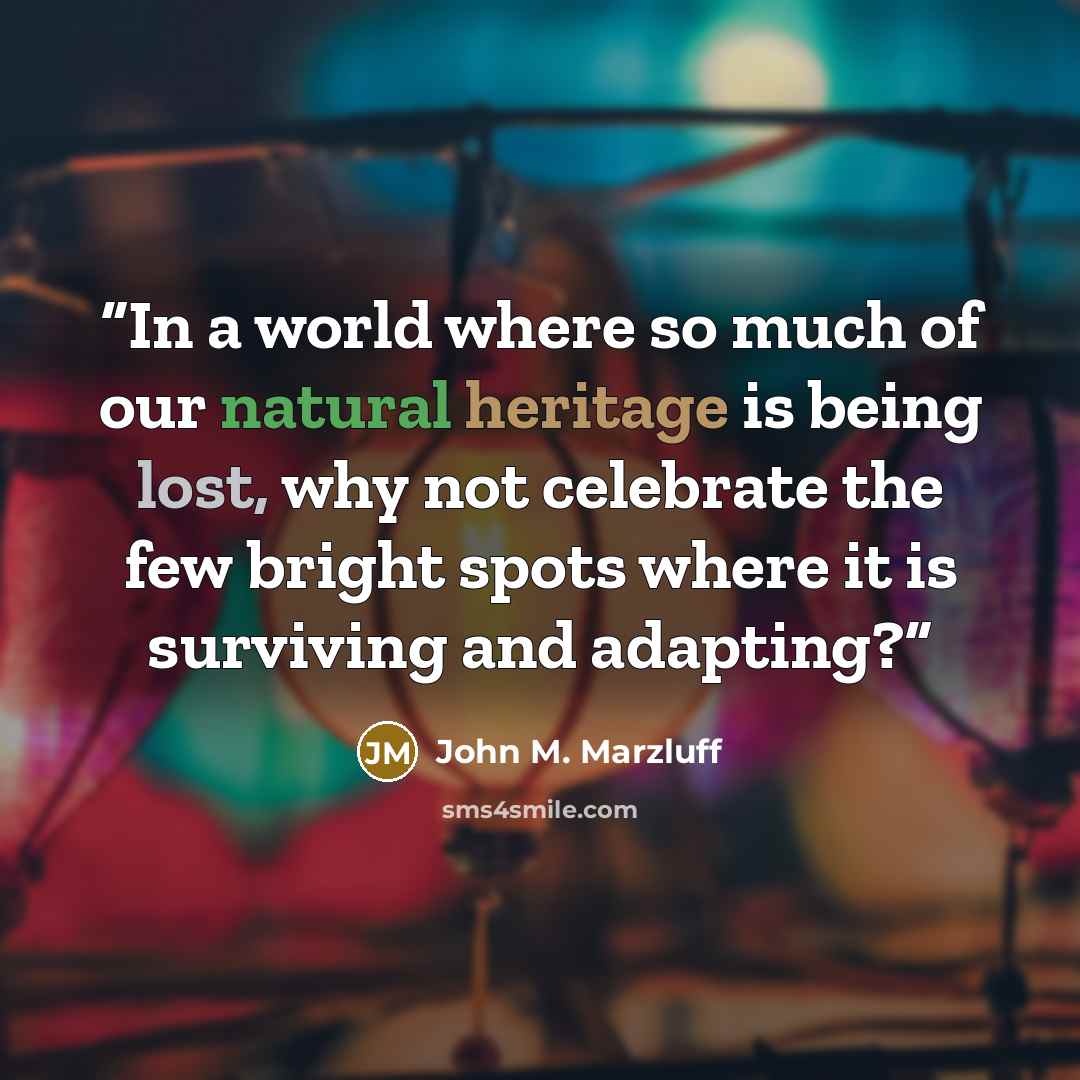 “In a world where so much of our natural heritage is being lost, why not celebrate the few bright spots where it is surviving and adapting?” quote by John M. Marzluff
