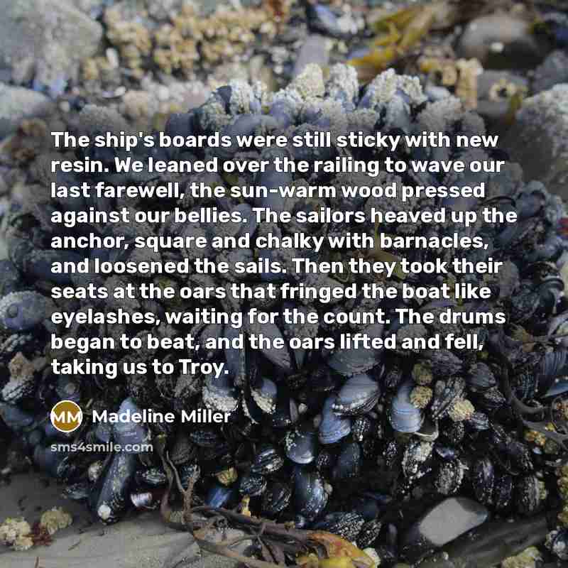 “The ship's boards were still sticky with new resin. We…” quote by Madeline Miller