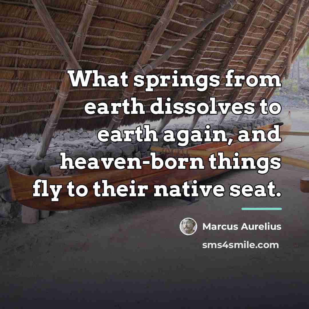 “What springs from earth dissolves to earth again, and heaven-born…” quote by Marcus Aurelius