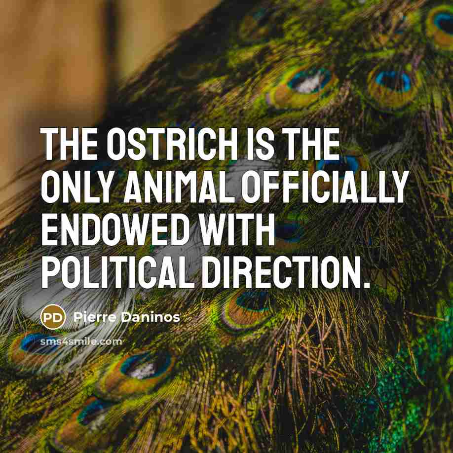 “The ostrich is the only animal officially endowed with political…” quote by Pierre Daninos