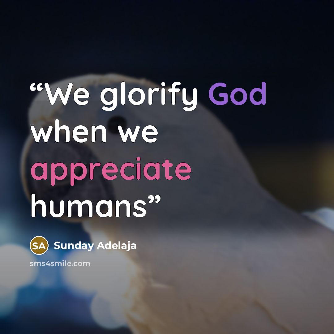 “We glorify God when we appreciate humans” quote by Sunday Adelaja