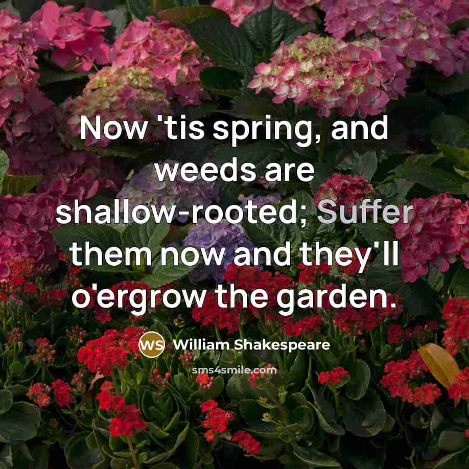“Now 'tis spring, and weeds are shallow-rooted; Suffer them now…” quote by William Shakespeare