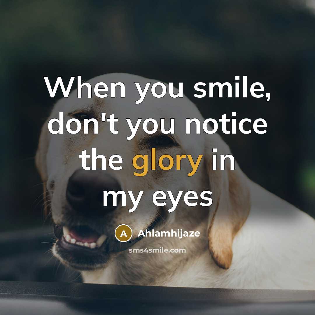 “When you smile, don't you notice the glory in my eyes” quote by Ahlamhijaze