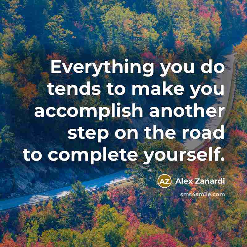 “Everything you do tends to make you accomplish another step…” quote by Alex Zanardi