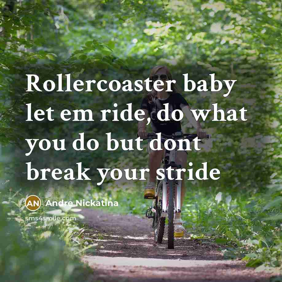 “Rollercoaster baby let em ride, do what you do but dont break your stride” quote by Andre Nickatina
