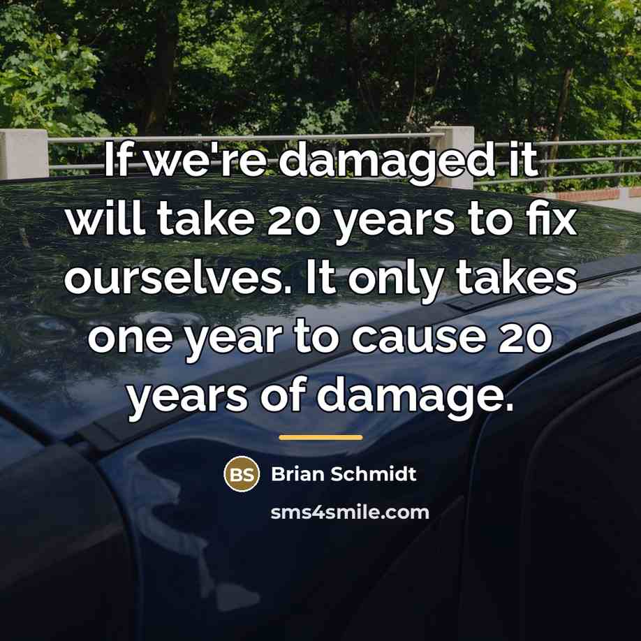 “If we're damaged it will take 20 years to fix…” quote by Brian Schmidt