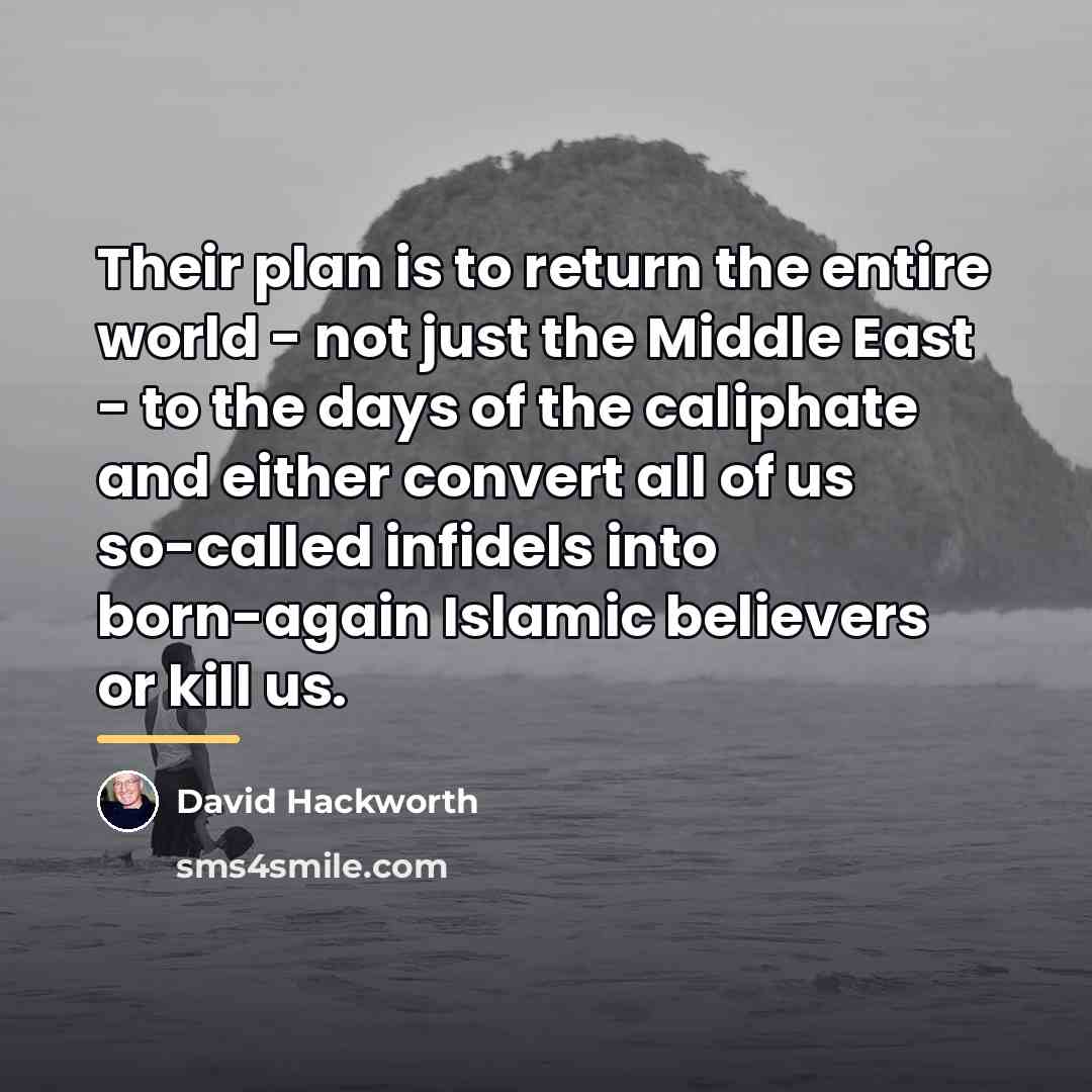 “Their plan is to return the entire world - not…” quote by David Hackworth