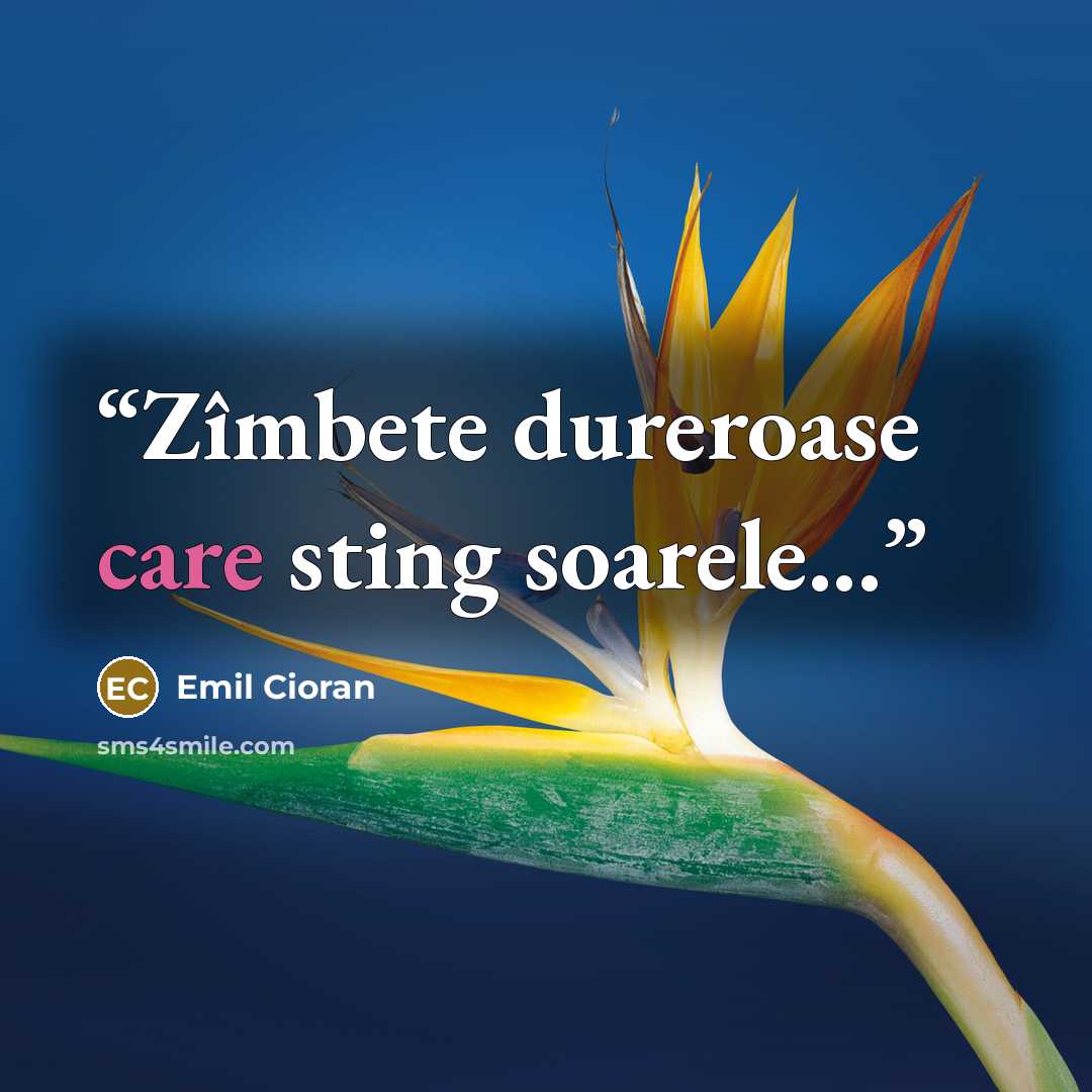 “Zîmbete dureroase care sting soarele...” quote by Emil Cioran