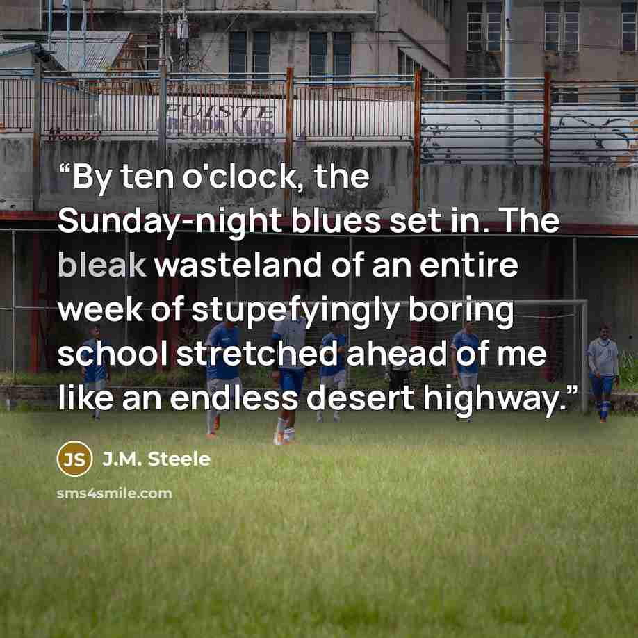 “By ten o'clock, the Sunday-night blues set in. The bleak wasteland of an entire week of stupefyingly boring school stretched ahead of me like an endless desert highway.” quote by J.M. Steele