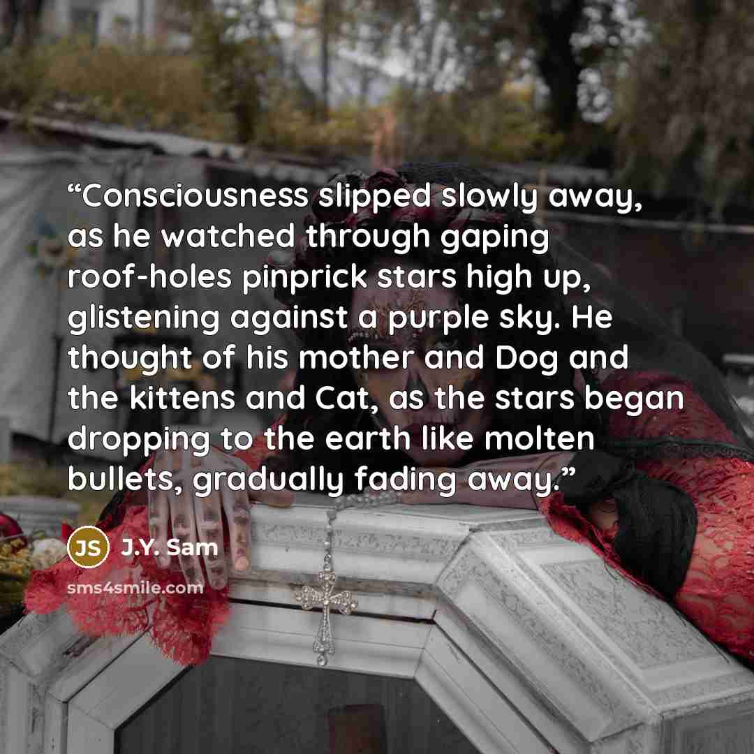 “Consciousness slipped slowly away, as he watched through gaping roof-holes pinprick stars high up, glistening against a purple sky. He thought of his mother and Dog and the kittens and Cat, as the stars began dropping to the earth like molten bullets, gradually fading away.” quote by J.Y. Sam