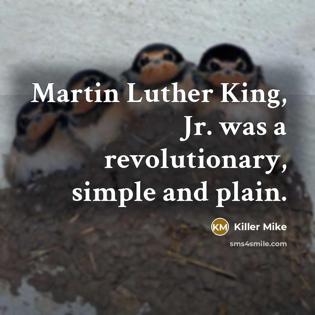 “Martin Luther King, Jr. was a revolutionary, simple and plain.…” quote by Killer Mike