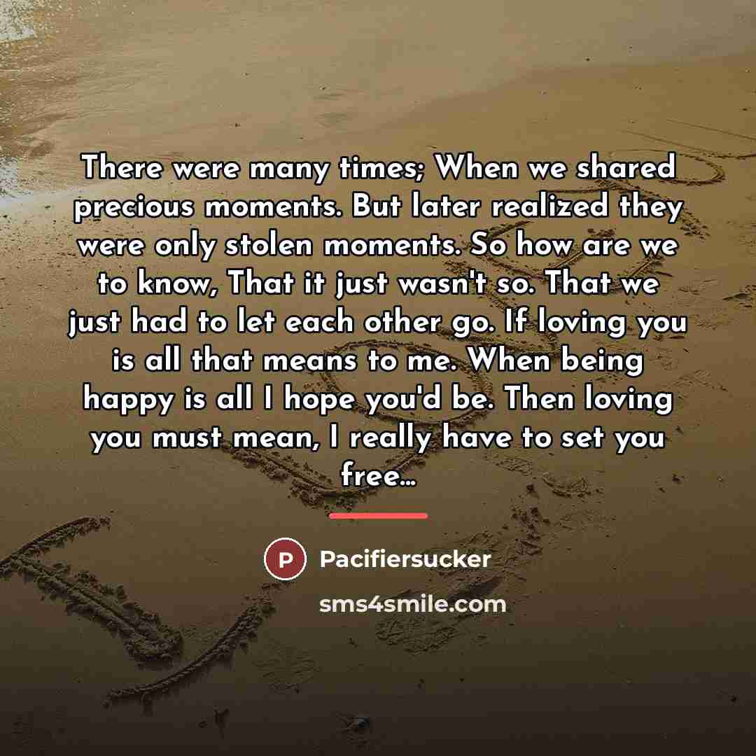 “There were many times; When we shared precious moments. But…” quote by Pacifiersucker