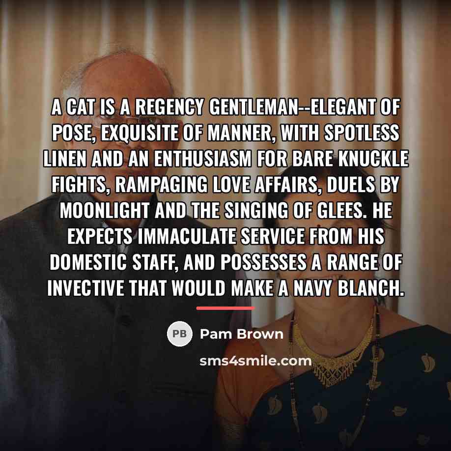 “A cat is a regency gentleman--elegant of pose, exquisite of…” quote by Pam Brown
