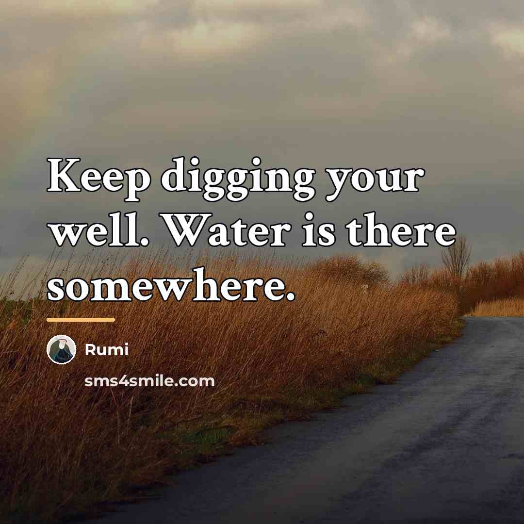 “Keep digging your well. Water is there somewhere.…” quote by Rumi
