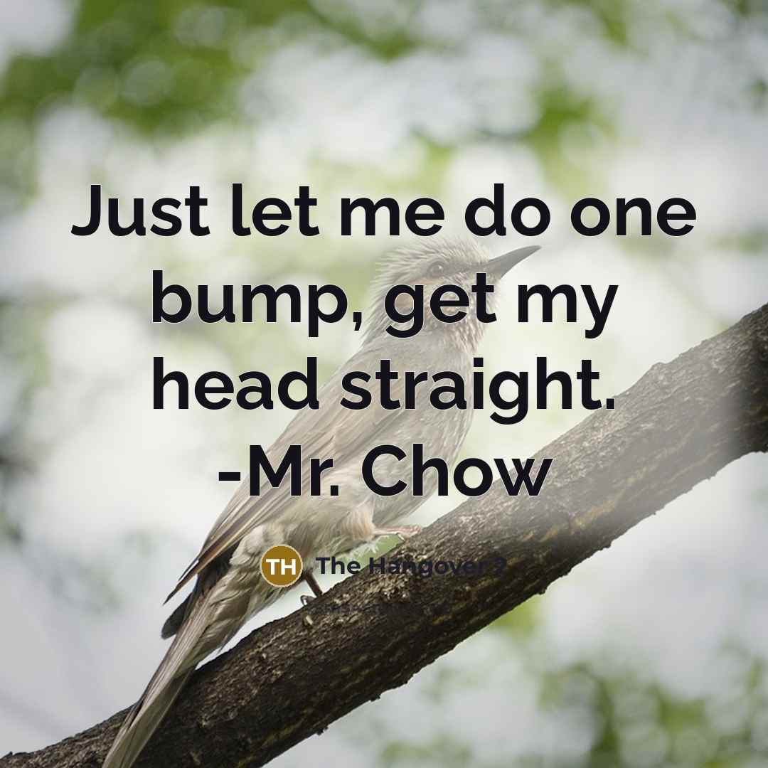 “Just let me do one bump, get my head straight. -Mr. Chow” quote by The Hangover 2