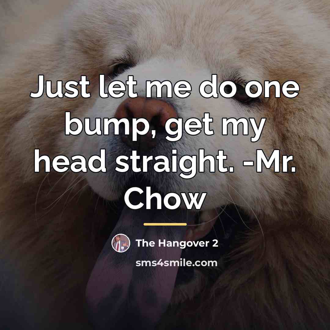 “Just let me do one bump, get my head straight.…” quote by The Hangover 2