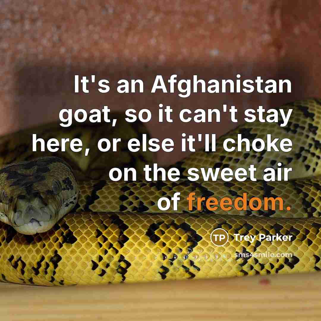 “It's an Afghanistan goat, so it can't stay here, or…” quote by Trey Parker