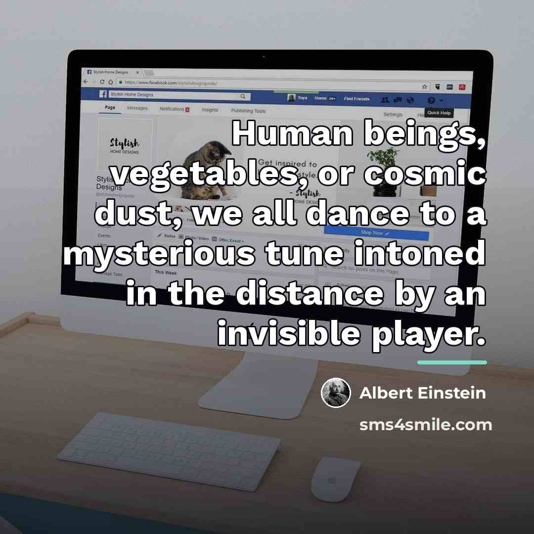 “Human beings, vegetables, or cosmic dust, we all dance to…” quote by Albert Einstein
