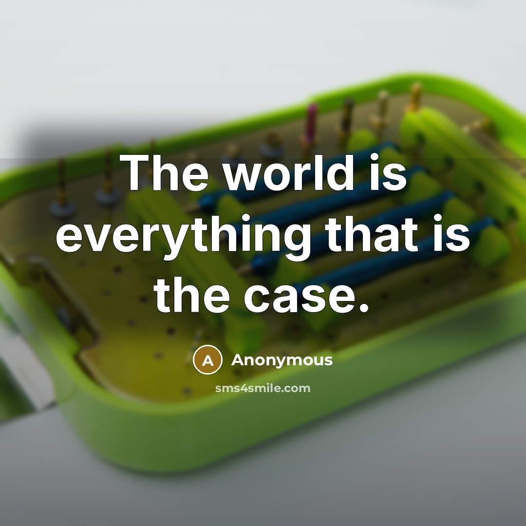 “The world is everything that is the case.” quote by Anonymous