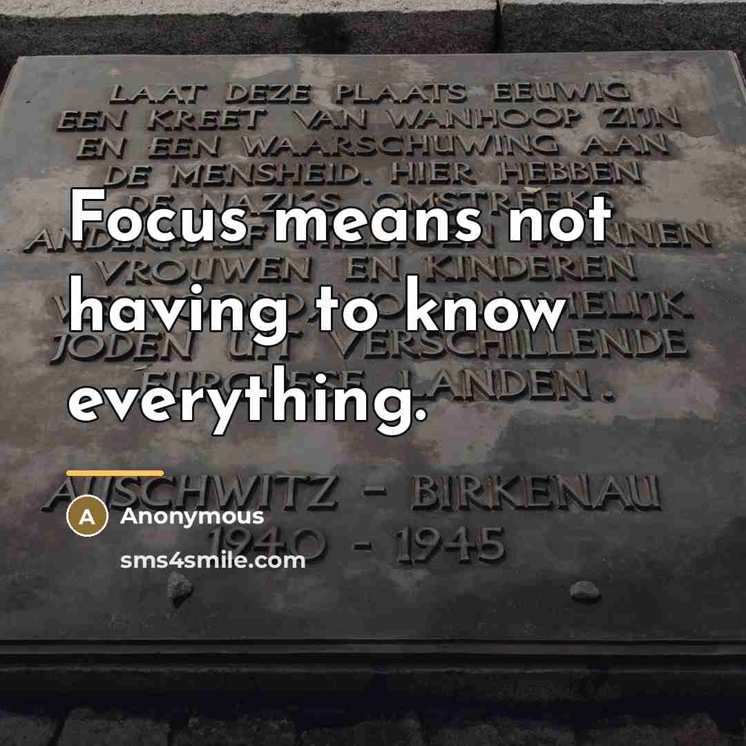 “Focus means not having to know everything.…” quote by Anonymous