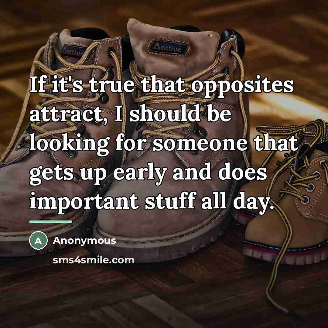 “If it's true that opposites attract, I should be looking…” quote by Anonymous