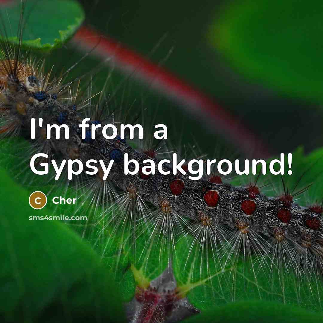 “I'm from a Gypsy background!” quote by Cher