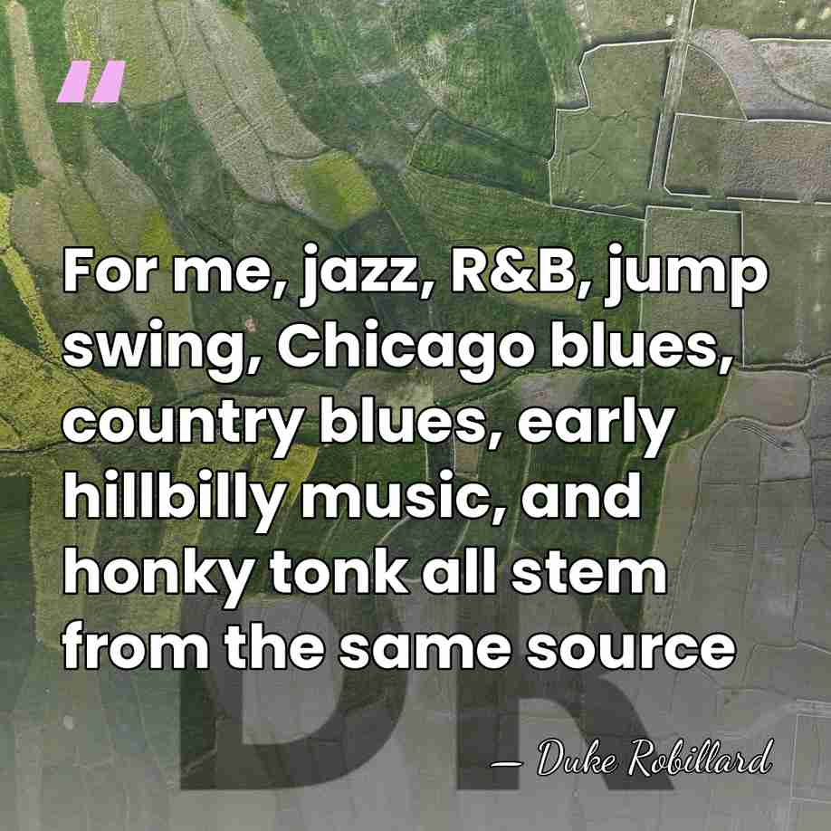 For me, jazz, R&B, jump swing, Chicago blues, country blues, early hillbilly&hellip; - Duke Robillard