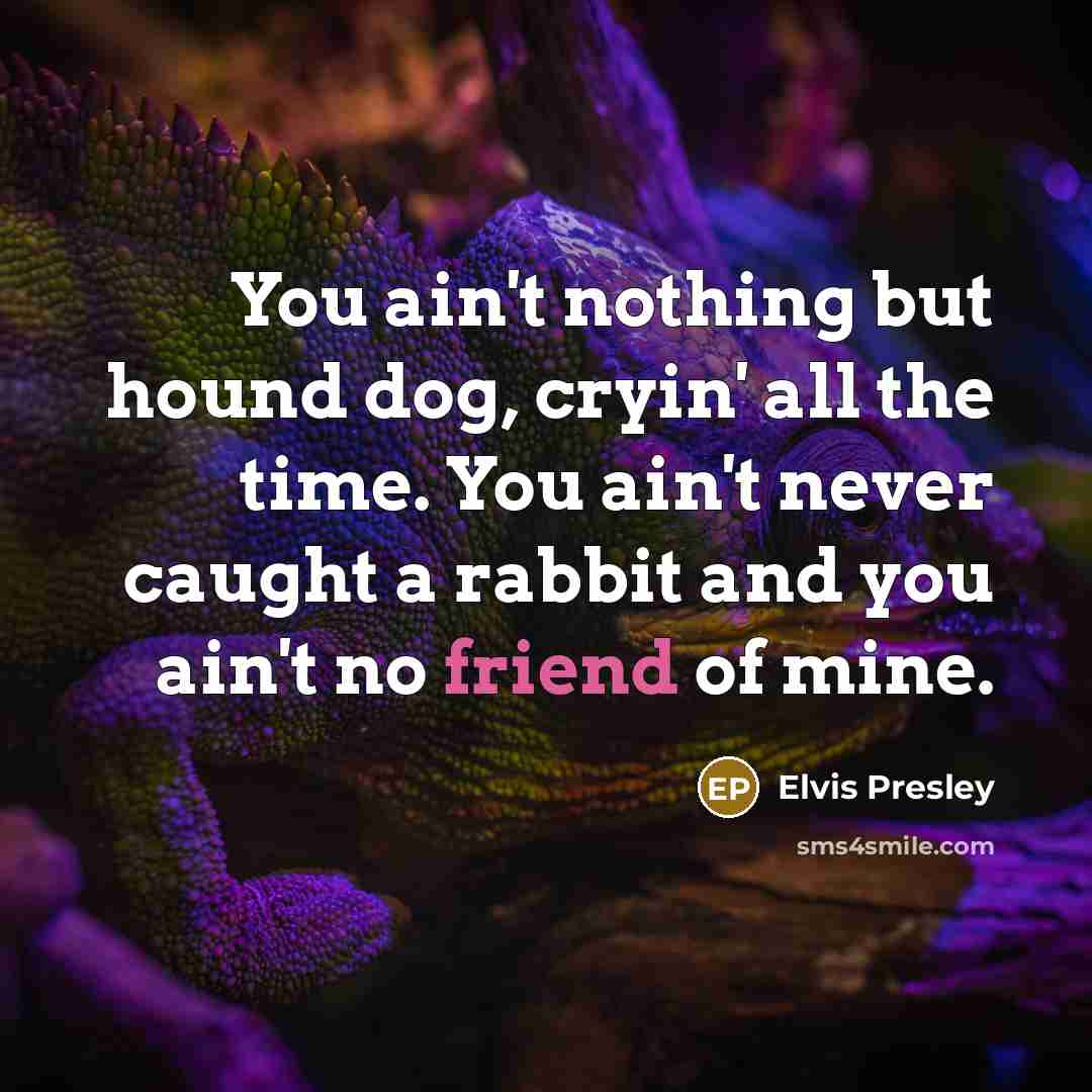 “You ain't nothing but hound dog, cryin' all the time. You ain't never caught a rabbit and you ain't no friend of mine.” quote by Elvis Presley