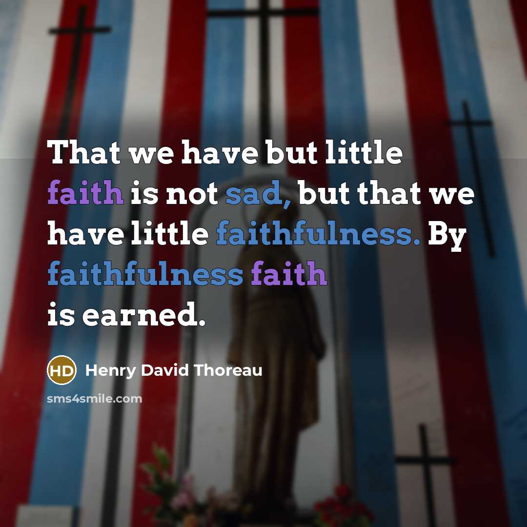 “That we have but little faith is not sad, but…” quote by Henry David Thoreau