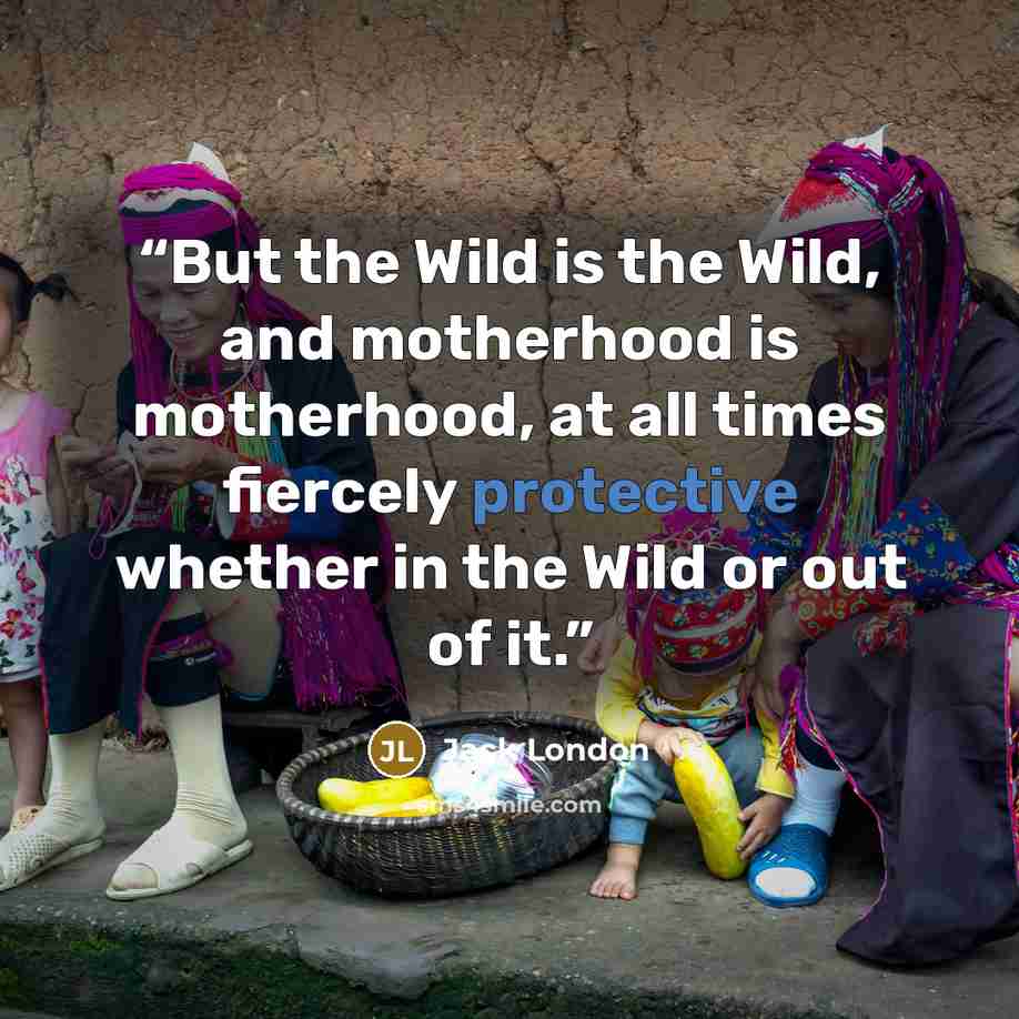 “But the Wild is the Wild, and motherhood is motherhood, at all times fiercely protective whether in the Wild or out of it.” quote by Jack London