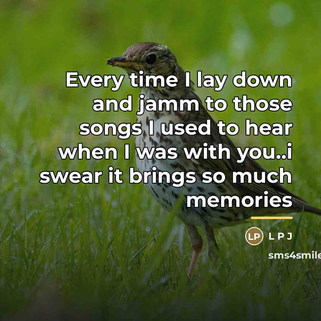 “Every time I lay down and jamm to those songs…” quote by L P J