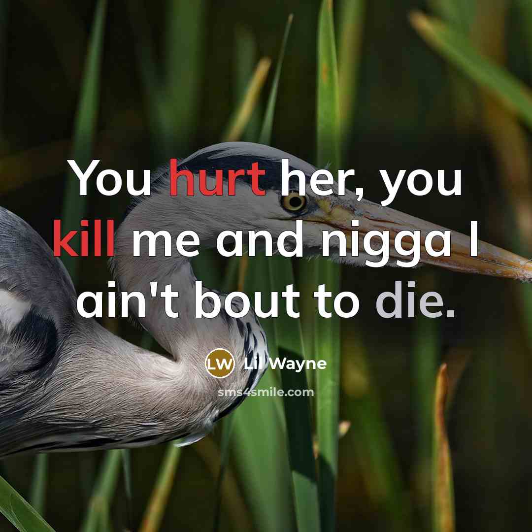“You hurt her, you kill me and nigga I ain't bout to die.” quote by Lil Wayne