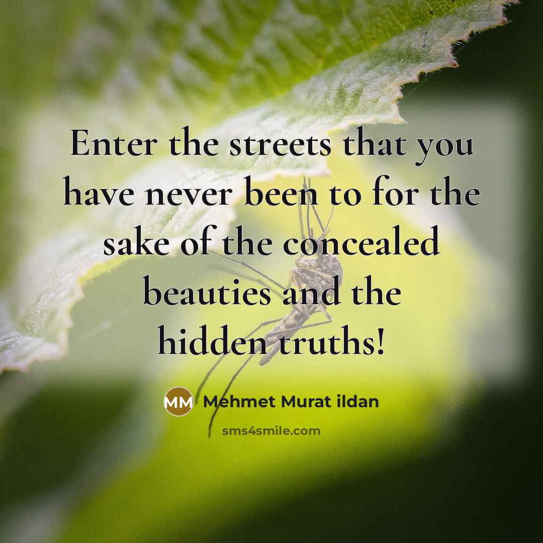 “Enter the streets that you have never been to for…” quote by Mehmet Murat Ildan