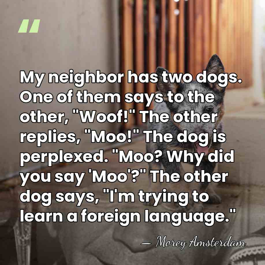 My neighbor has two dogs. One of them says to the other,&hellip; - Morey Amsterdam