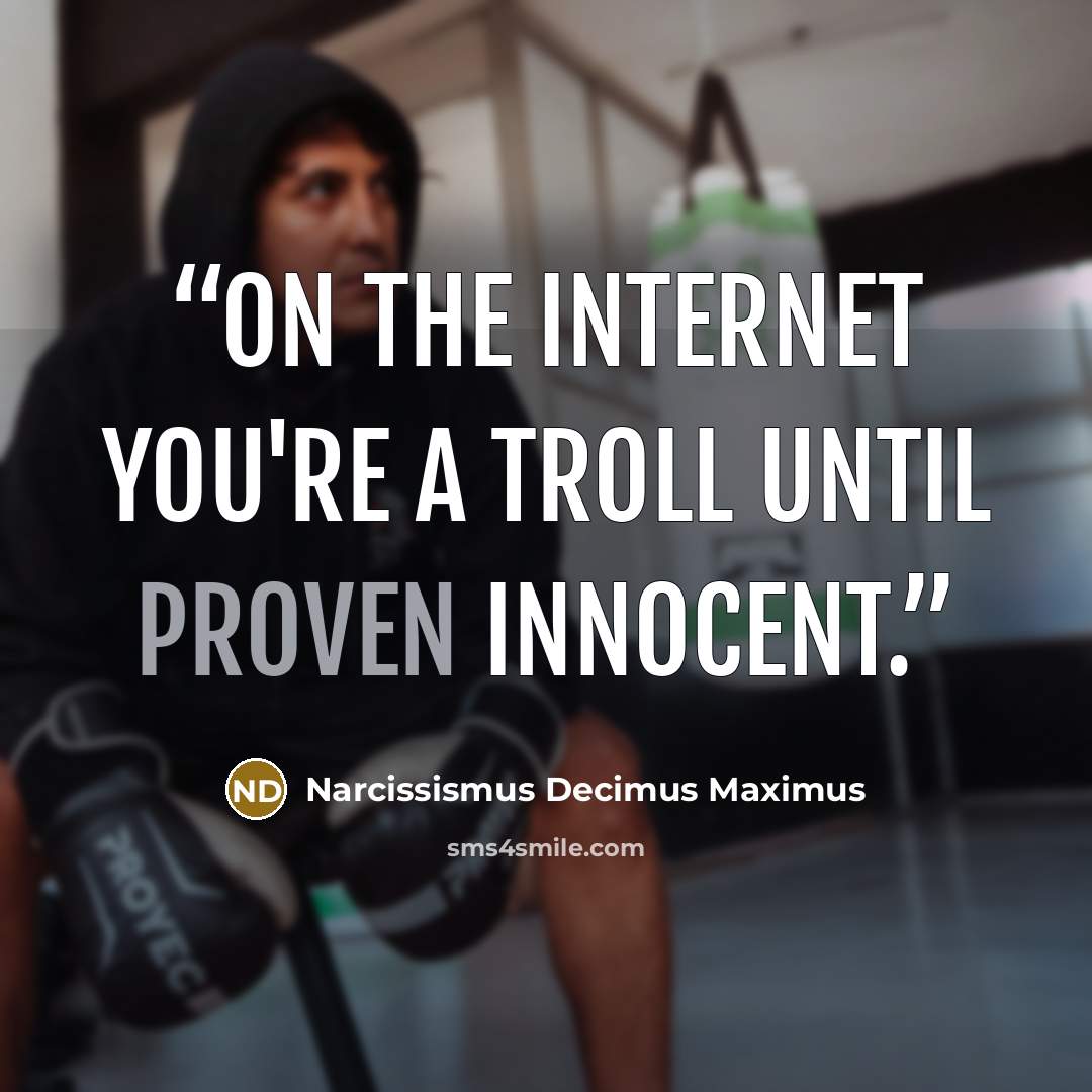 “On the internet you're a troll until proven innocent.” quote by Narcissismus Decimus Maximus
