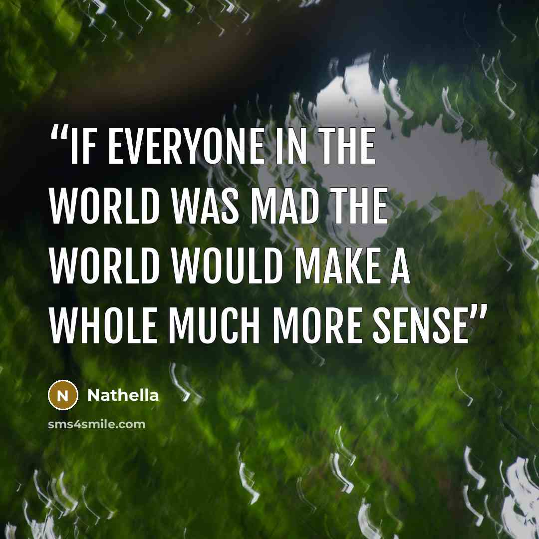 “If everyone in the world was mad the world would make a whole much more sense” quote by Nathella