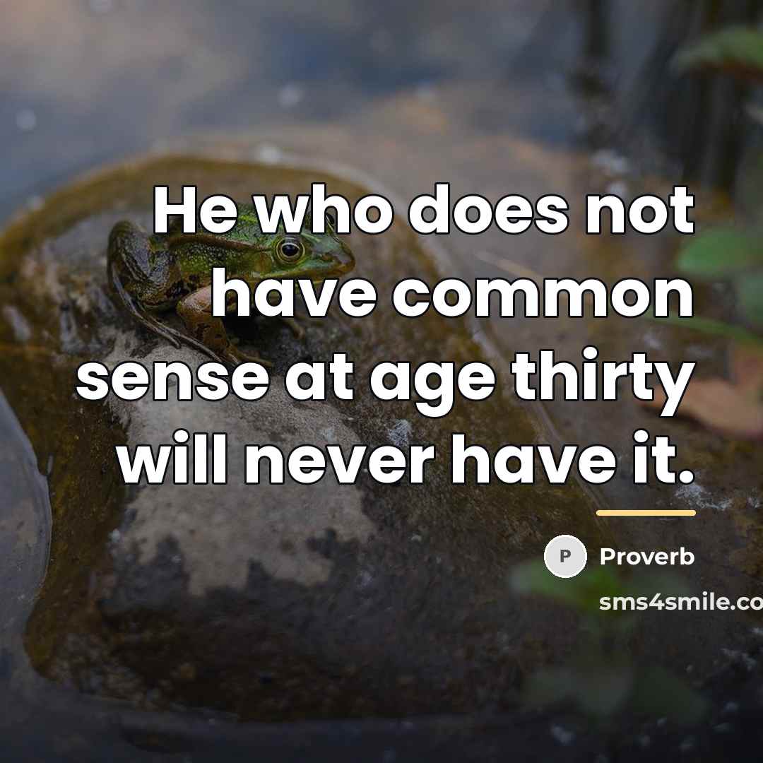 “He who does not have common sense at age thirty…” quote by Proverb