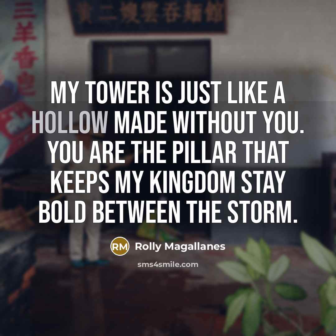 “My tower is just like a hollow made without you. You are the pillar that keeps my kingdom stay bold between the storm.” quote by Rolly Magallanes