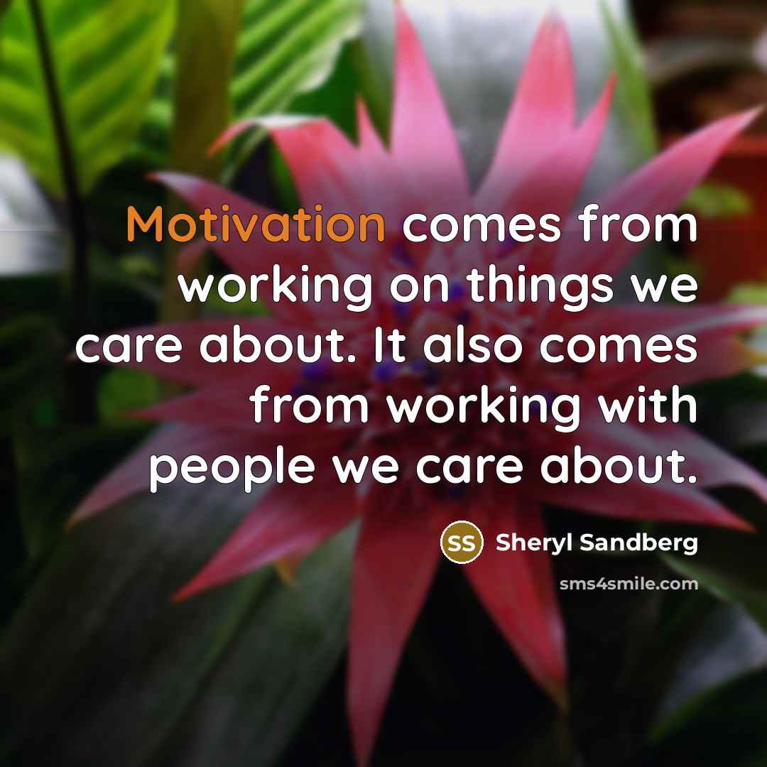 “Motivation comes from working on things we care about. It…” quote by Sheryl Sandberg