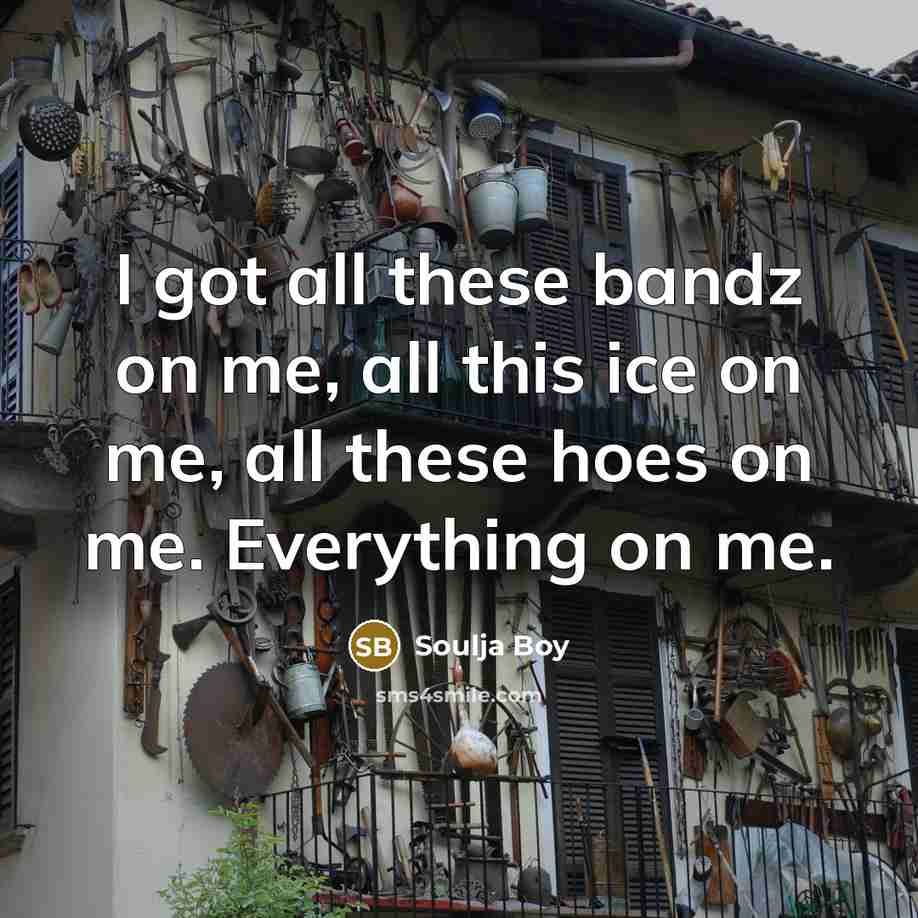 “I got all these bandz on me, all this ice…” quote by Soulja Boy