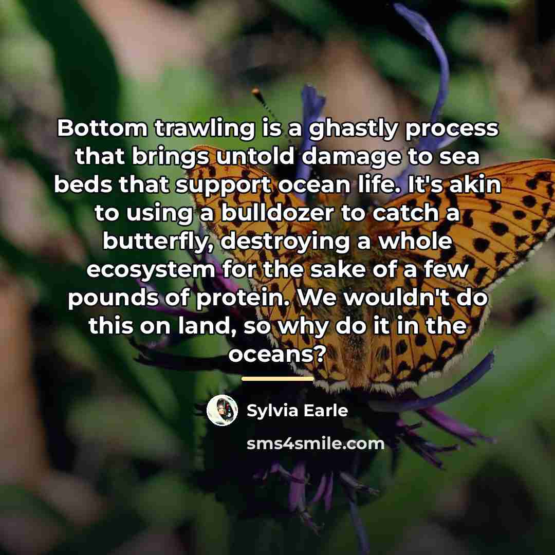 “Bottom trawling is a ghastly process that brings untold damage…” quote by Sylvia Earle
