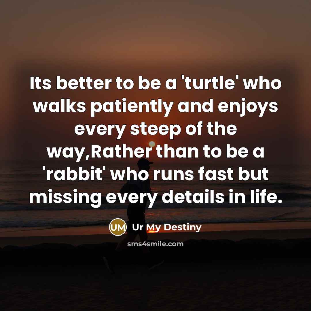 “Its better to be a 'turtle' who walks patiently and…” quote by Ur My Destiny