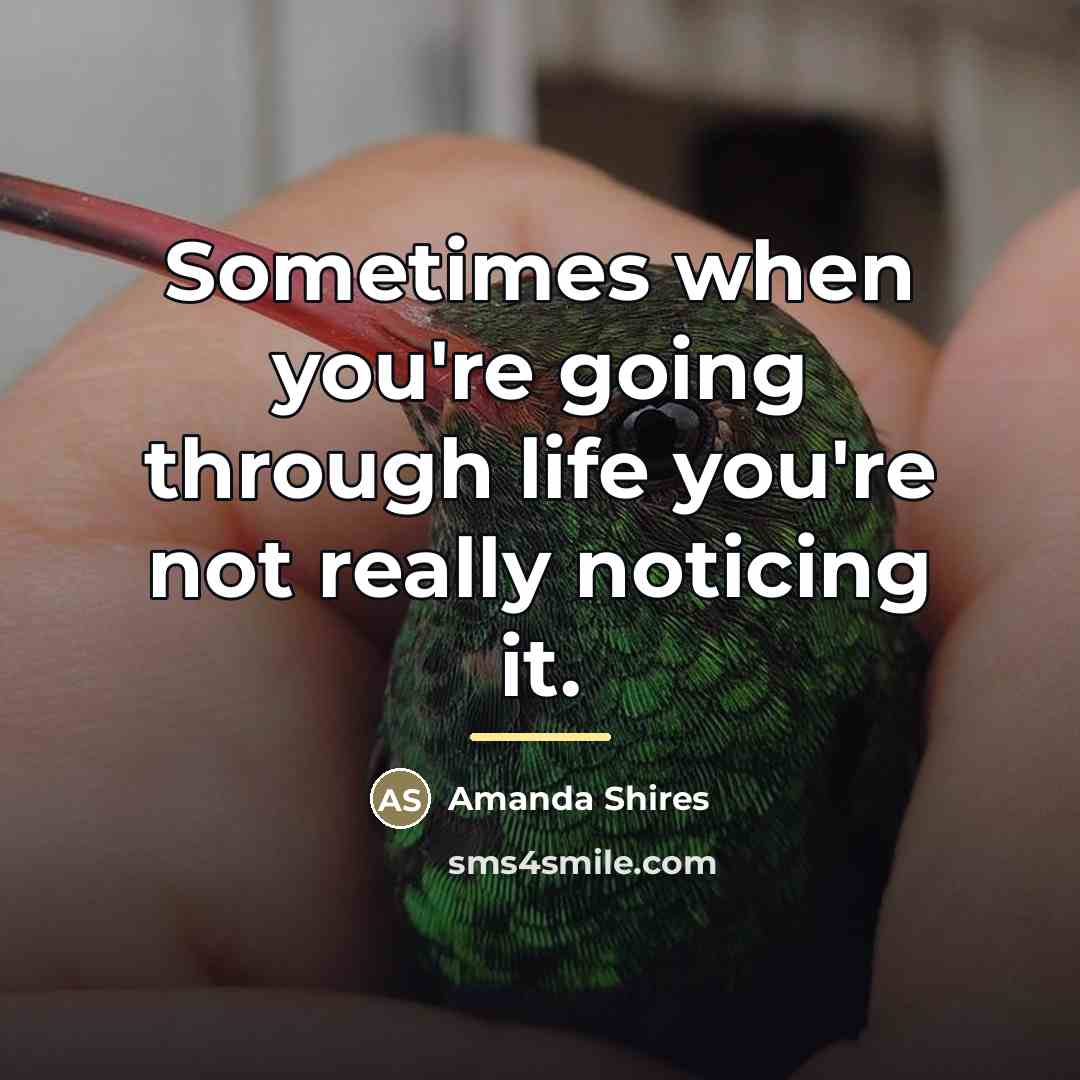 “Sometimes when you're going through life you're not really noticing…” quote by Amanda Shires