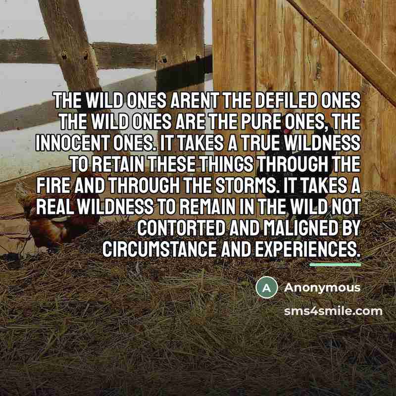 “The wild ones arent the defiled ones the wild ones…” quote by Anonymous