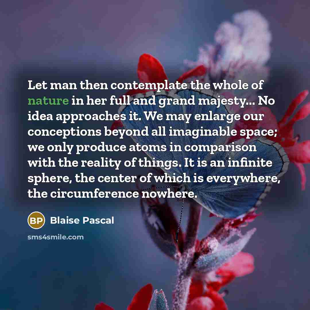 “Let man then contemplate the whole of nature in her…” quote by Blaise Pascal